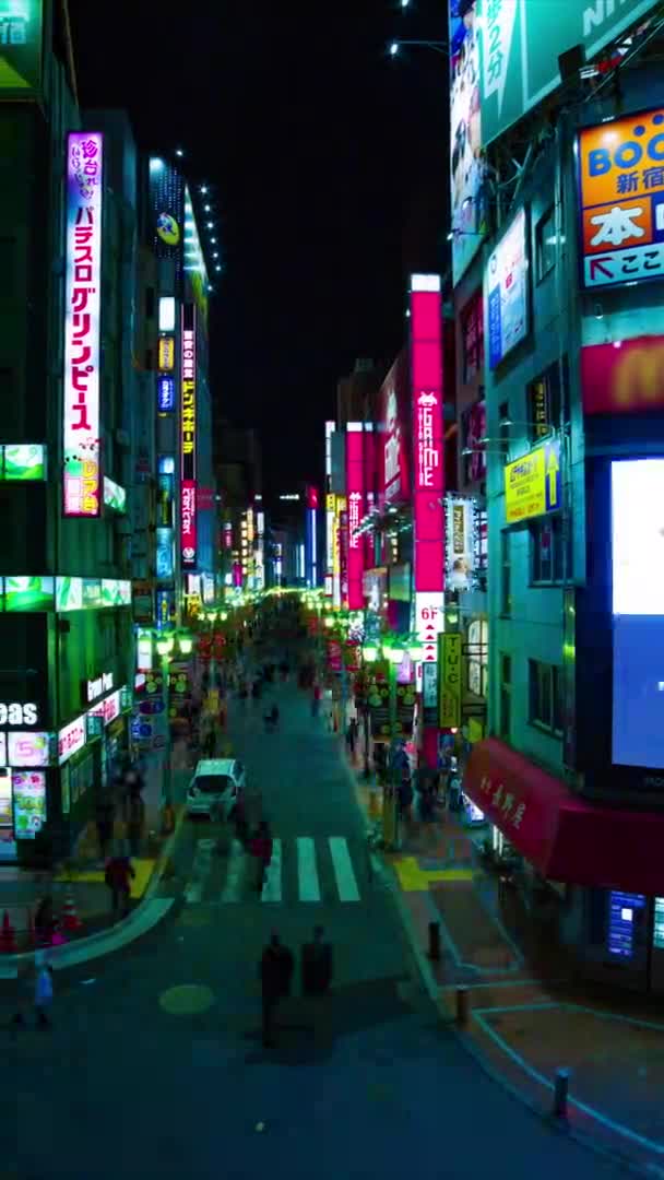 Night time lapse at the neon town in Shinjuku Tokyo vertical shot — ストック動画