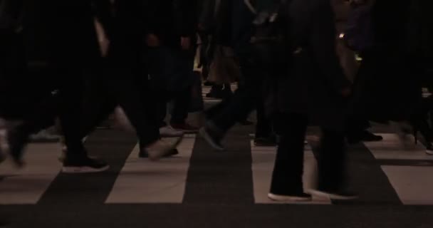 Zwiedzanie ludzi części ciała na skrzyżowaniu Shibuya w nocy — Wideo stockowe