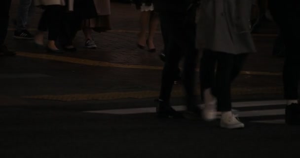 Caminhando pessoas partes do corpo na travessia Shibuya à noite — Vídeo de Stock