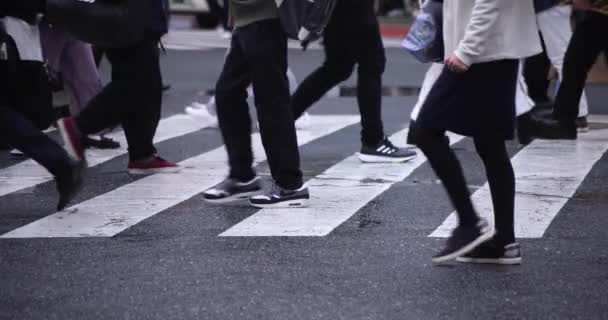 在Shibuya雨天，人们在十字路口慢吞吞地走着 — 图库视频影像