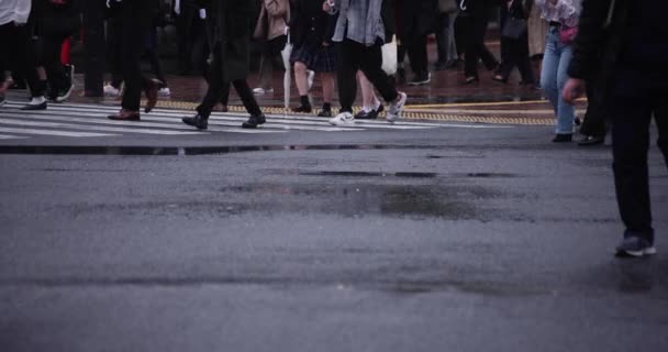 Una cámara lenta de personas caminando en el cruce en Shibuya día lluvioso — Vídeos de Stock