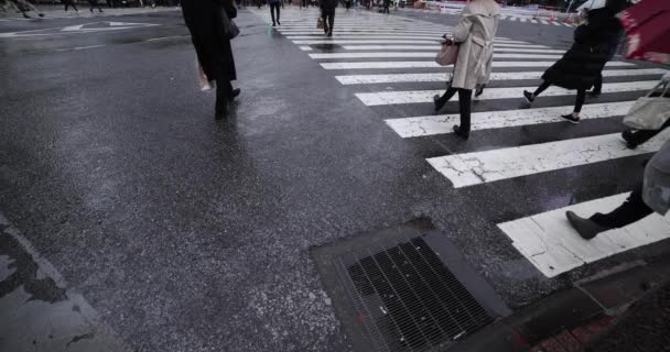 Um movimento lento de pessoas andando no cruzamento em Shibuya tiro dia chuvoso de largura — Vídeo de Stock
