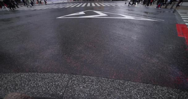 Een langzame motie van wandelende mensen op de kruising in Shibuya regenachtige dag wijd schot — Stockvideo