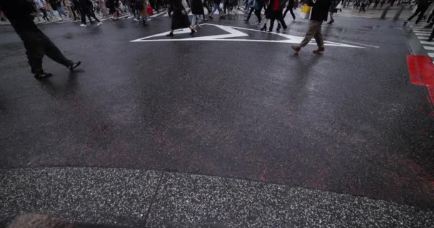 Un rallentatore di persone che camminano all'incrocio a Shibuya giornata piovosa colpo largo — Video Stock