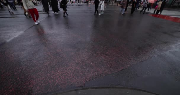 Una cámara lenta de personas caminando en el cruce en Shibuya día lluvioso tiro de par en par — Vídeos de Stock
