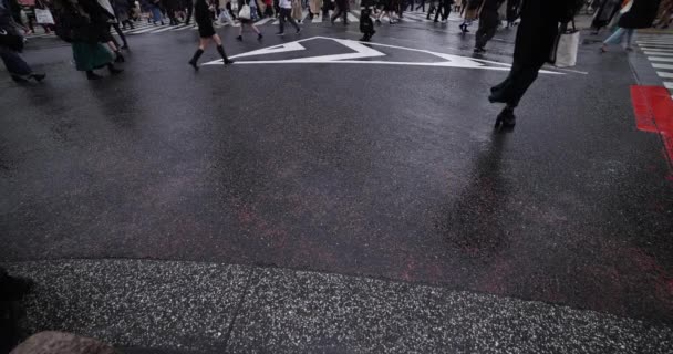 Een langzame motie van wandelende mensen op de kruising in Shibuya regenachtige dag wijd schot — Stockvideo