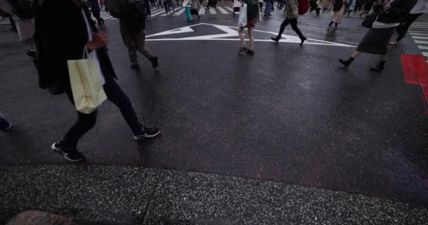 A slow motion of walking people at the crossing in Shibuya rainy day wide shot — Stock videók
