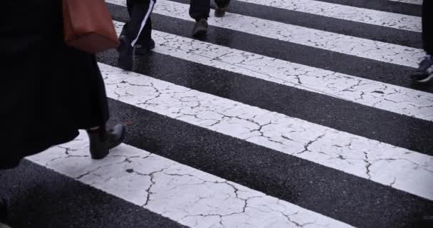 Zpomalený pohyb chodících lidí na křižovatce v Shibuya deštivý den — Stock video