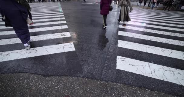 A slow motion of walking people at the crossing in Shibuya rainy day wide shot — Vídeo de stock