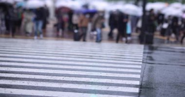 Shibuya 'da yağmurlu bir günde geçitte yürüyen insanların ağır çekimleri.