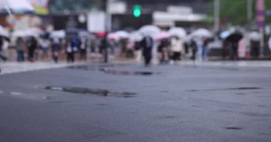 Shibuya 'da yağmurlu bir günde geçitte yürüyen insanların ağır çekimleri.