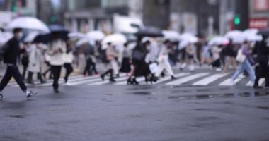Shibuya 'da yağmurlu bir günde geçitte yürüyen insanların ağır çekimleri.
