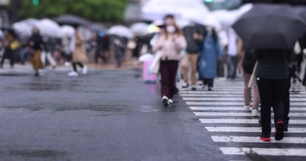 A slow motion of walking people at the crossing in Shibuya rainy day — Vídeos de Stock