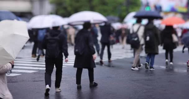 Een langzame beweging van wandelende mensen op de kruising in Shibuya regenachtige dag — Stockvideo