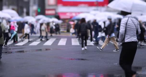 A slow motion of walking people at the crossing in Shibuya rainy day — 비디오
