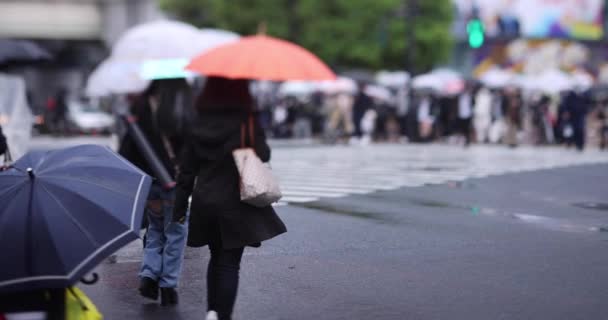 Zpomalený pohyb chodících lidí na křižovatce v Shibuya deštivý den — Stock video