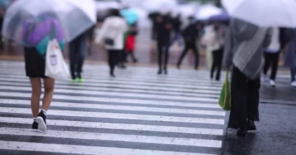 A slow motion of walking people at the crossing in Shibuya rainy day — Stock videók