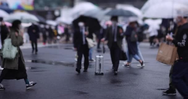 Zpomalený pohyb chodících lidí na křižovatce v Shibuya deštivý den — Stock video