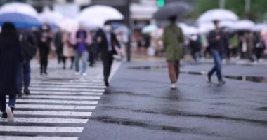 Shibuya 'da yağmurlu bir günde geçitte yürüyen insanların ağır çekimleri.