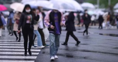 Shibuya 'da yağmurlu bir günde geçitte yürüyen insanların ağır çekimleri.