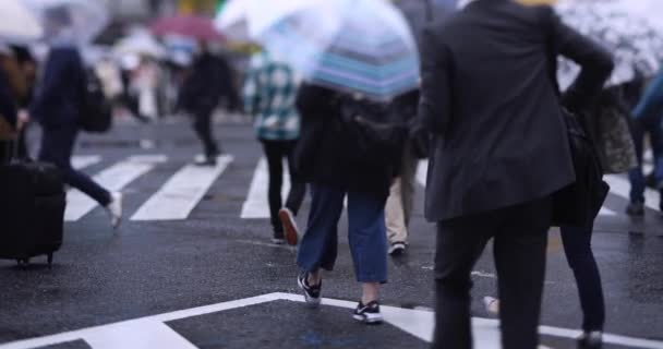 En långsam rörelse av vandrande människor vid korsningen i Shibuya regnig dag — Stockvideo