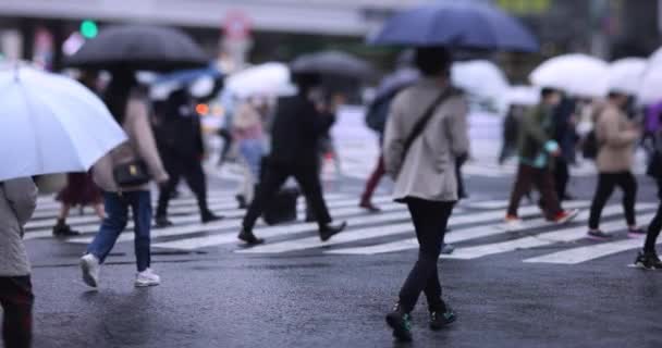 A slow motion of walking people at the crossing in Shibuya rainy day — Stock video