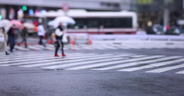 En långsam rörelse av vandrande människor vid korsningen i Shibuya regnig dag — Stockvideo