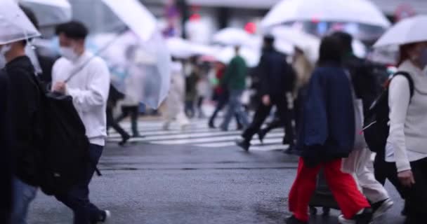 Zpomalený pohyb chodících lidí na křižovatce v Shibuya deštivý den — Stock video