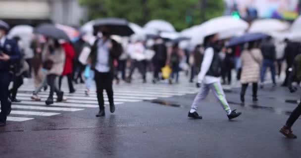 A slow motion of walking people at the crossing in Shibuya rainy day — Stock videók