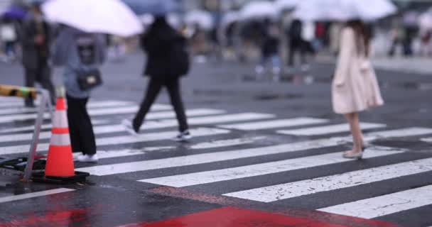 A slow motion of walking people at the crossing in Shibuya rainy day — Video