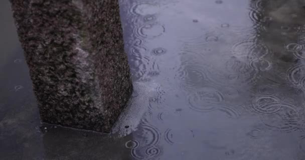 街上下雨天，水坑的高速射击 — 图库视频影像