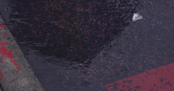 Ein Hochgeschwindigkeits-Schießen von Pfütze auf der Straße regnet Tag — Stockvideo