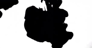 Koolhaus siyah mürekkep su arkasında beyaz arka plan