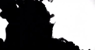 Koolhaus siyah mürekkep su arkasında beyaz arka plan