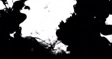 Koolhaus siyah mürekkep su arkasında beyaz arka plan