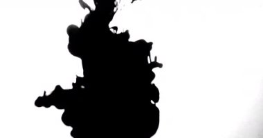 Koolhaus siyah mürekkep su arkasında beyaz arka plan