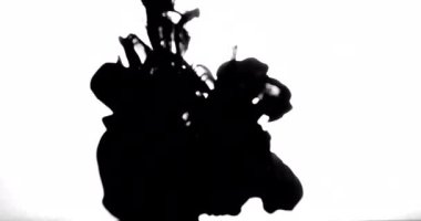 Koolhaus siyah mürekkep su arkasında beyaz arka plan