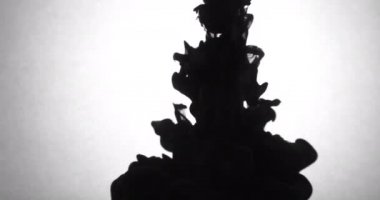 Koolhaus siyah mürekkep su arkasında beyaz arka plan