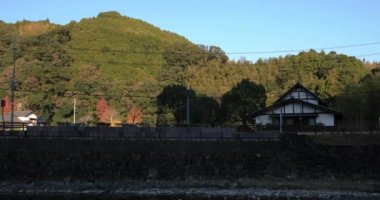 Fujieda şehri Shizuoka 'daki Gyokuro no Sato Japonya