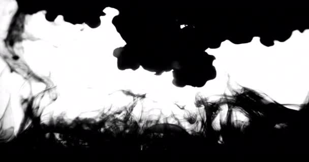 Падіння чорного чорнила у воді за білим тлом — стокове відео
