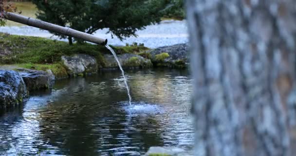 Gyokuro no Sato na cidade de Fujieda Prefeitura de Shizuoka Japão — Vídeo de Stock