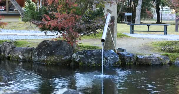 Gyokuro no Sato i Fujieda stad Shizuoka prefektur Japan — Stockvideo