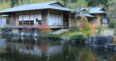 Fujieda şehri Shizuoka 'daki Gyokuro no Sato Japonya