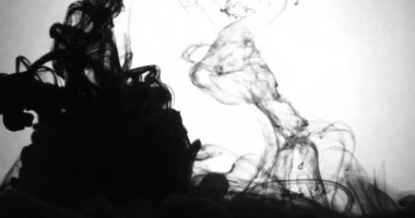 Koolhaus siyah mürekkep su arkasında beyaz arka plan