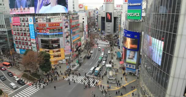 位于东京市中心地带的宽阔的十字路口，日照尽收眼底 — 图库视频影像