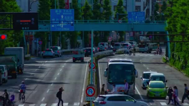 Zeitraffer der Innenstadt-Straße an der Kanpachi-Allee in Tokio — Stockvideo