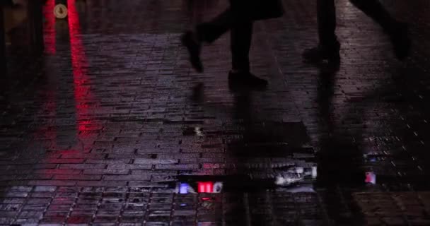 Puddle on the city street in Shinjuku at night rainy day handheld — 비디오