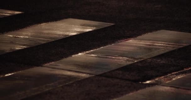 夜间雨天手牵手在新宿街上行走时的身体部位 — 图库视频影像