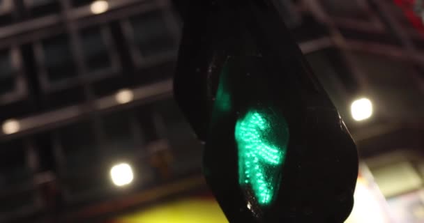 A night traffic light in Shinjuku rainy day handheld — Stok Video