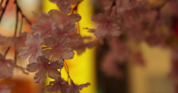 An artificial flowers of cherry bloom in Shinjuku at night handheld — Vídeo de stock